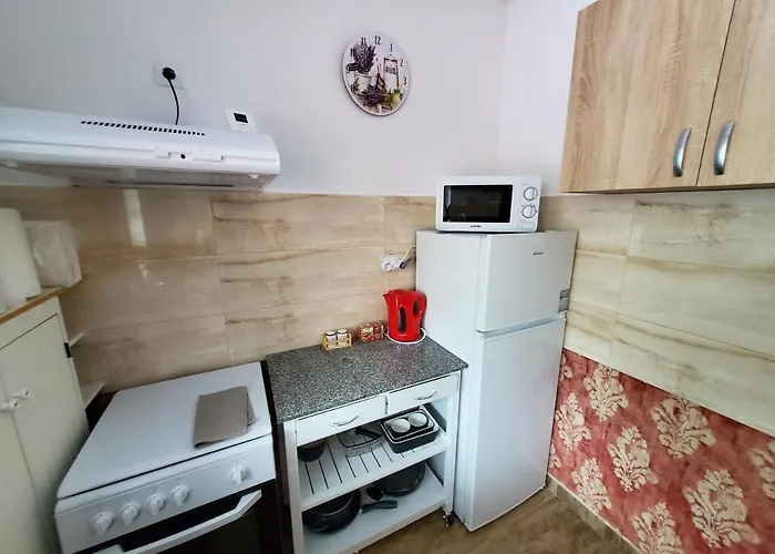 Morii Special * Бухарест